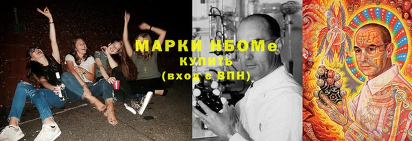 ALPHA PVP Новозыбков