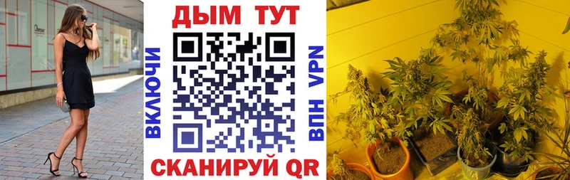 Каннабис OG Kush  где можно купить наркотик  Ардатов 